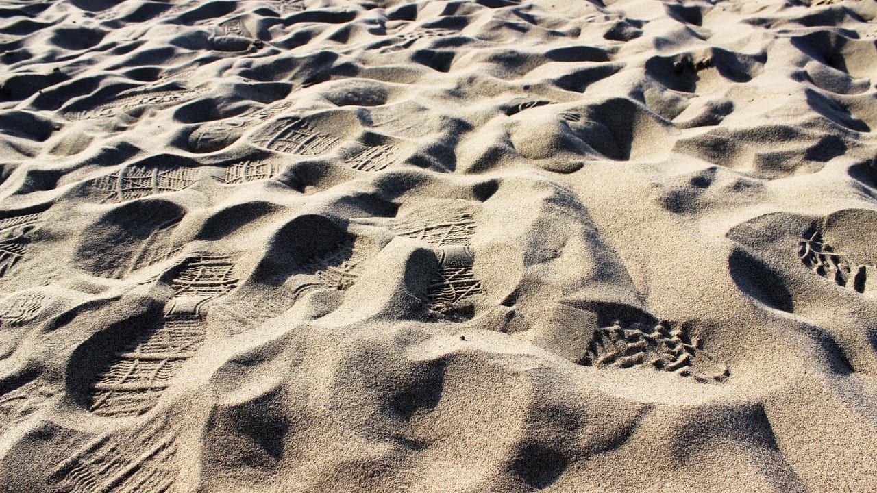 鳥取砂丘の足跡