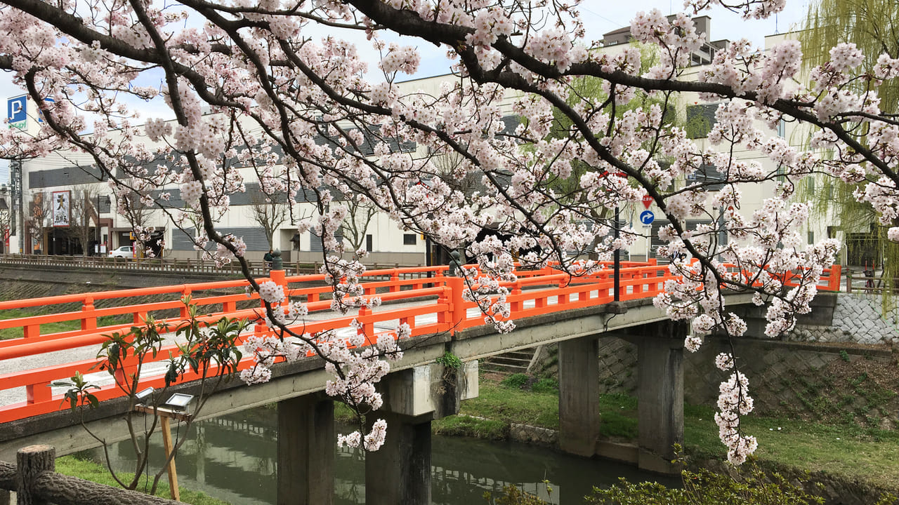 鳥取市の袋川と橋