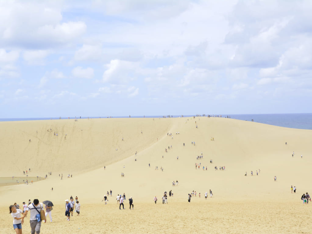 鳥取砂丘を歩く人々