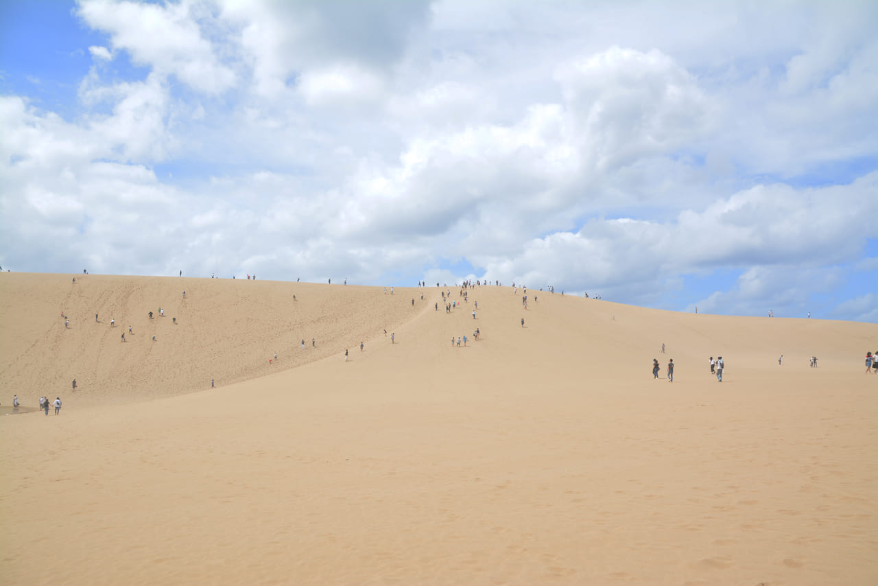 鳥取砂丘の馬の背を歩く人々