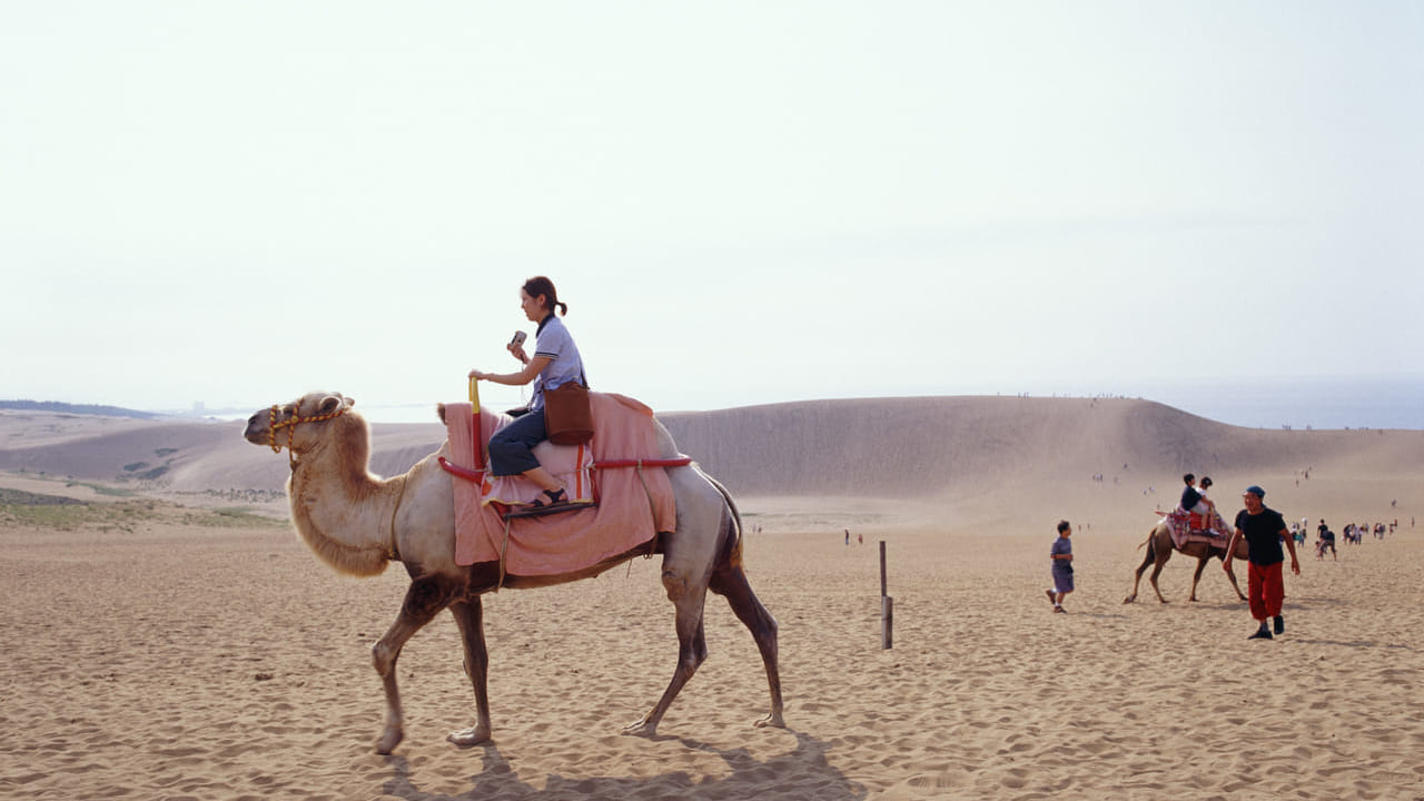 鳥取砂丘でラクダに乗る観光客