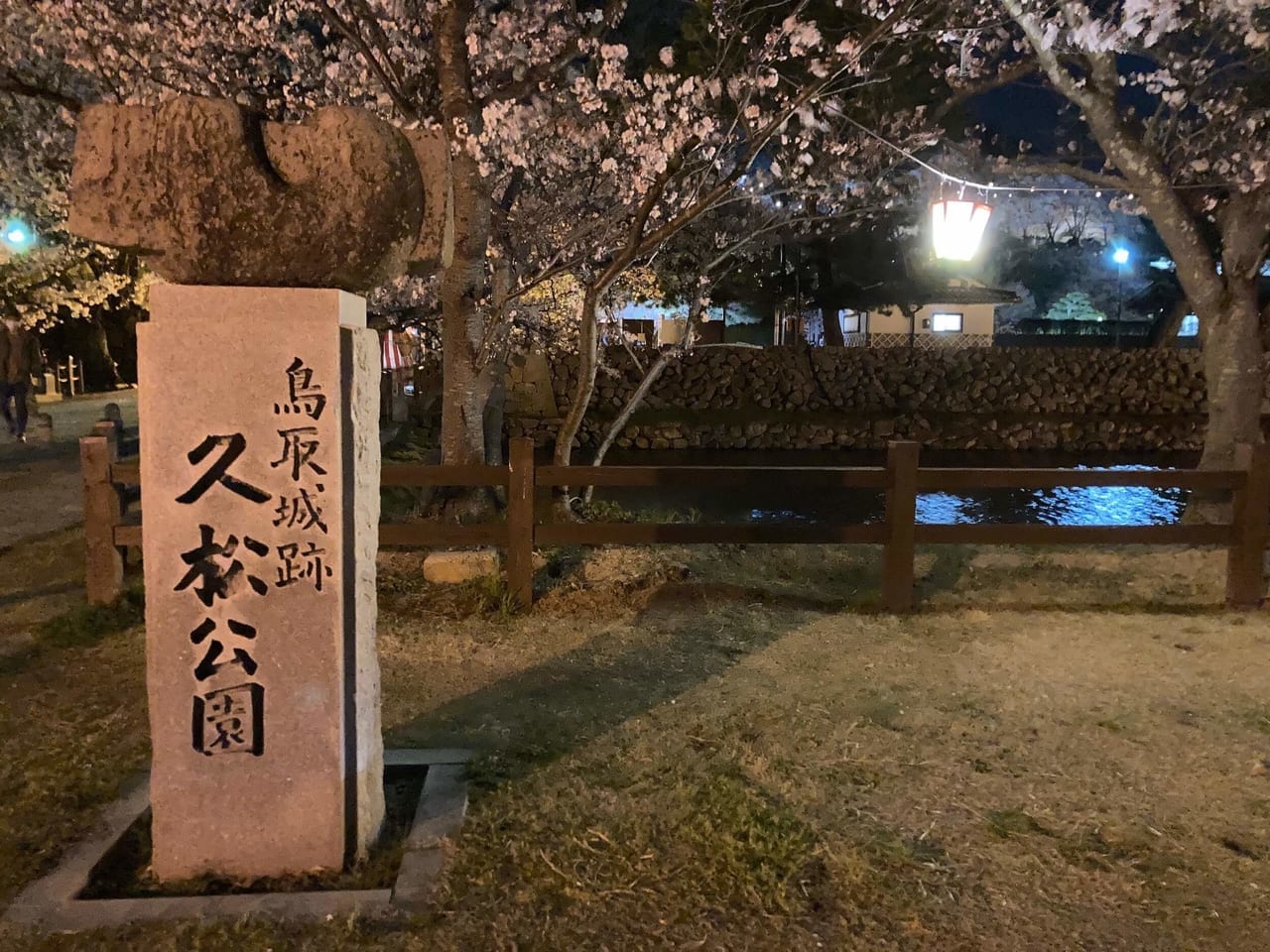 久松公園の桜