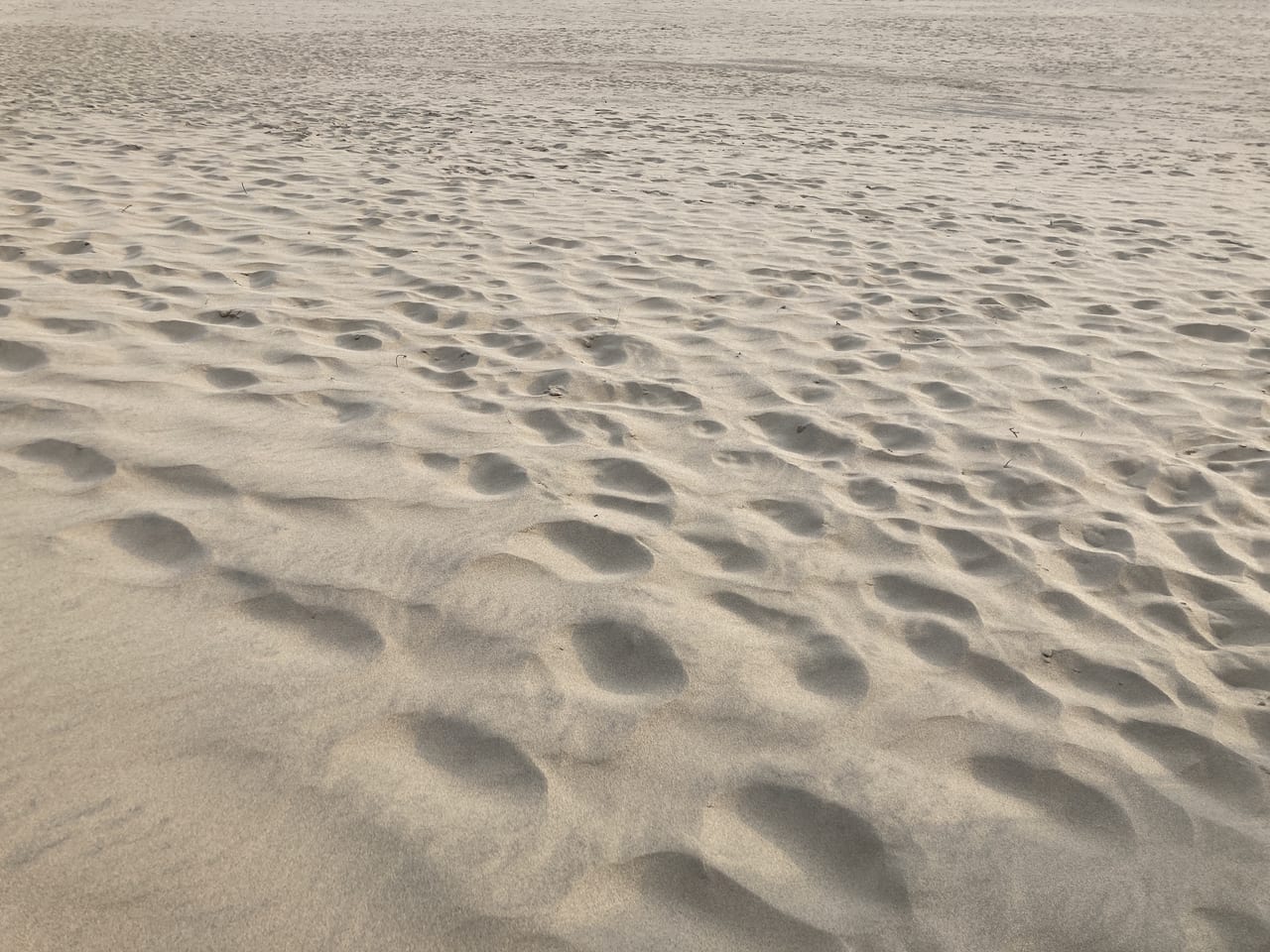 鳥取砂丘の砂