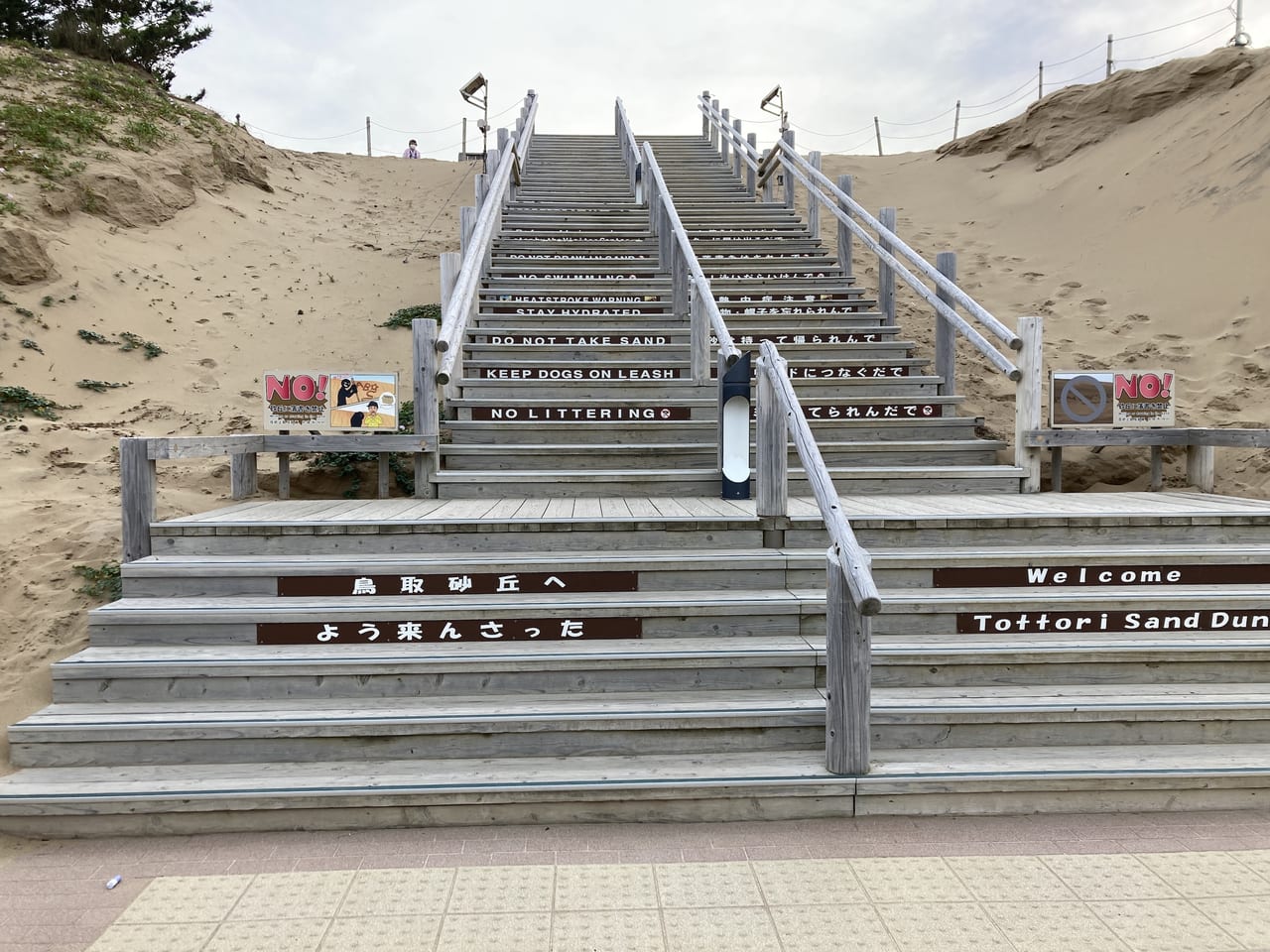 鳥取砂丘の階段