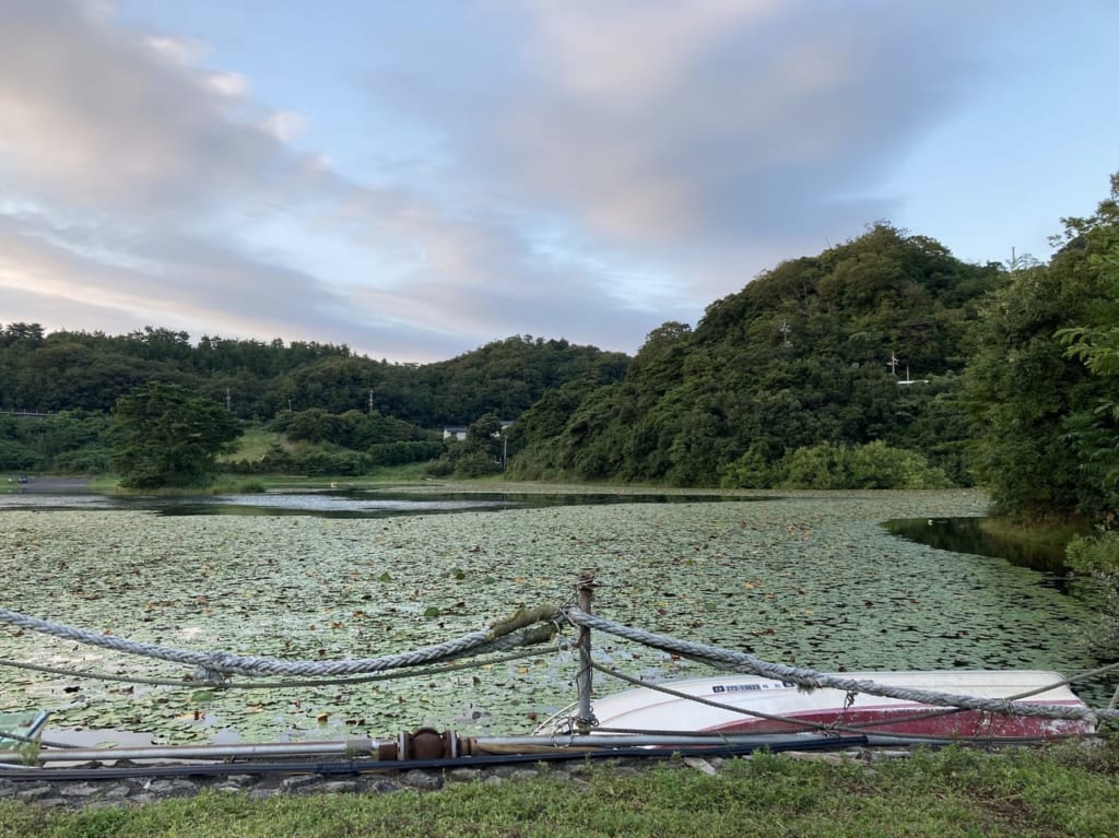 多鯰ヶ池