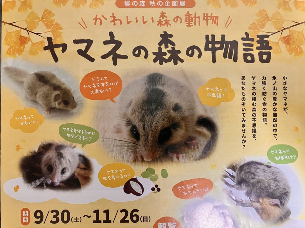 ヤマネの森の物語の広告１