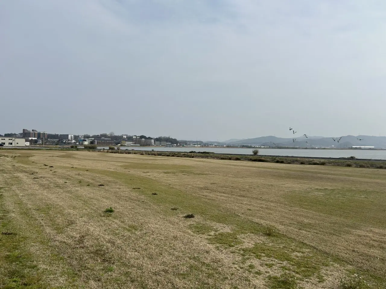グリーンフィールドの芝生園